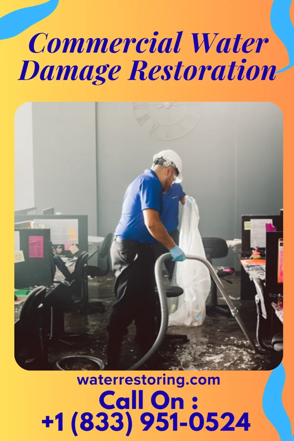 Commercial Water Damage Restoration in Westhope, ND